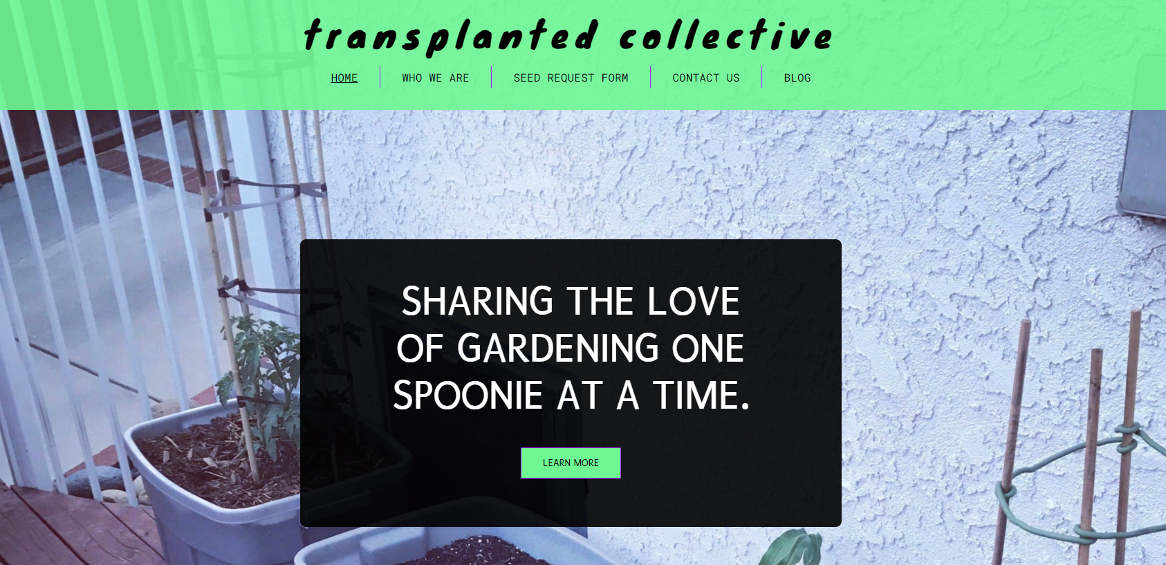 transplanted collective website screenshot that says: Transplanted Collective, Sharing the Love of Gardening One Spoonie at a Time